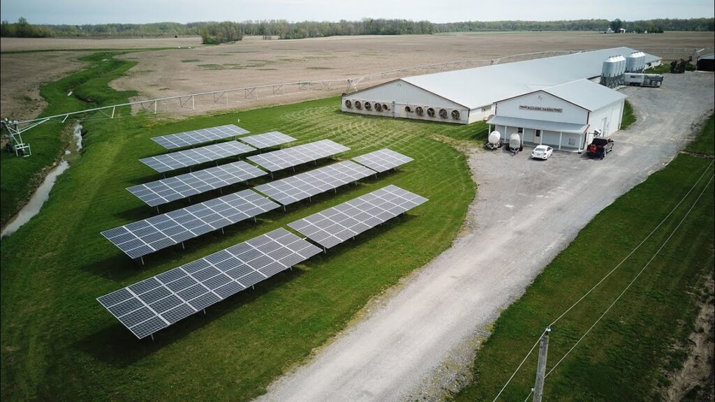 Pecuária 4.0 e eficiência energética